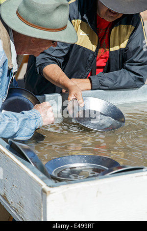 Comment l'apprentissage de l'or, 'Free Gold Panning' station, Donkey Derby Days, Cripple Creek, Colorado USA Banque D'Images