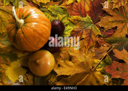 Légumes frais et lumineux des feuilles couleur multi Banque D'Images