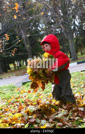 Smiling boy joue avec des feuilles jaunes Banque D'Images