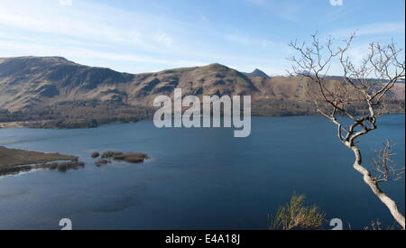 Catbells de surprise sur le lac Derwentwater, Keswick, Parc National de Lake District, Cumbria, Angleterre, Royaume-Uni Banque D'Images