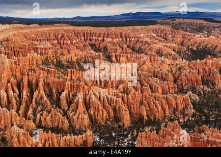 Ville silencieuse, hoodoos nuageux tôt le matin d'hiver, Bryce Amphitheater, Bryce Point, Bryce Canyon National Park, Utah, USA Banque D'Images