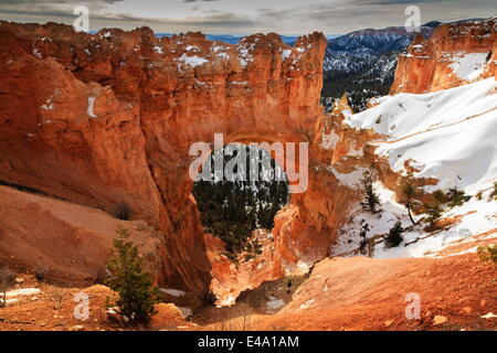 Calcaire de couleur rouge arch éclairées par le soleil du matin avec falaises enneigées en hiver à Natural Bridge, Bryce Canyon National Park, Utah, USA Banque D'Images