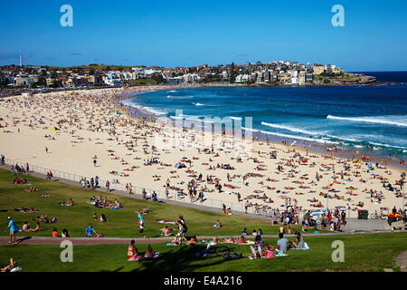 Bondi Beach, Sydney, Nouvelle-Galles du Sud, Australie, Pacifique Banque D'Images