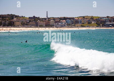 Bondi Beach, Sydney, Nouvelle-Galles du Sud, Australie, Pacifique Banque D'Images