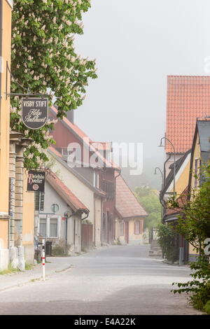 Les chalets et les rues pavées de la ville de Visby, classé au Patrimoine Mondial de l'UNESCO, l'île de Gotland, Suède, Scandinavie, Europe Banque D'Images