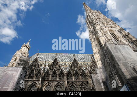 La cathédrale St Stephen, Vienne, Autriche, Europe Banque D'Images