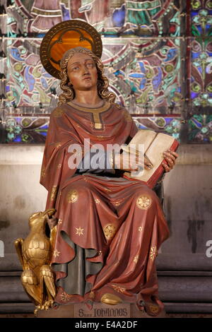 Saint Jean l'Evangéliste, statue Notre Dame de la Treille Cathedral, Lille, Nord, France, Europe Banque D'Images