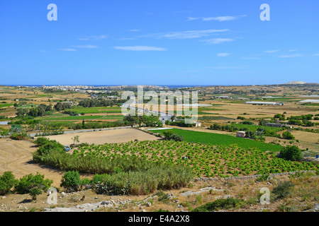 Vue sur la campagne de la route vers Mosta (Il-Mosta), District Nord, Malte Majjistral Région, République de Malte Banque D'Images