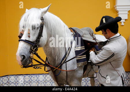 Préparer un cheval pour être montés à l'école royale andalouse d'art équestre, Jerez, en Andalousie, Espagne, Europe Banque D'Images