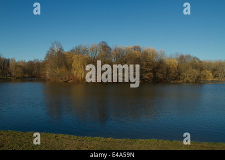 Sur la rive d'un lac magnifique avec des arbres Banque D'Images