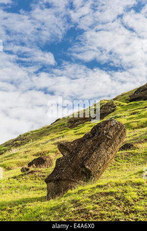 Moai sculptures à diverses étapes de réalisation à Rano Raraku, parc national de Rapa Nui, l'UNESCO, l'île de Pâques, Chili Banque D'Images