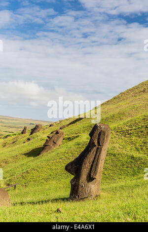 Moai sculptures à diverses étapes de réalisation à Rano Raraku, parc national de Rapa Nui, l'UNESCO, l'île de Pâques, Chili Banque D'Images