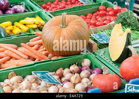 Le potiron, les oignons, les courgettes (courgettes), les carottes, les tomates et les haricots at a market stall, Esslingen, Baden Wurtemberg, Allemagne Banque D'Images