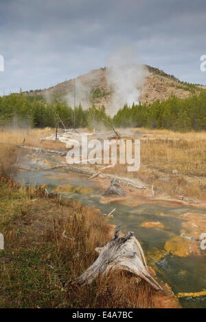 Midway Geyser Basin l'activité thermique de la Fée Creek Trail, l'UNESCO, le Parc National de Yellowstone, Wyoming, USA Banque D'Images