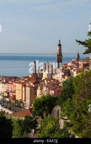 L'église St Michel et de la vieille ville de Menton, Provence-Alpes-Côte d'Azur, d'Azur, France, Europe, Méditerranée Banque D'Images