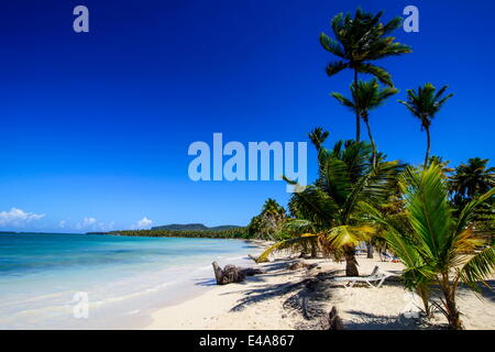 Playa Grande, Las Galeras, Semana péninsule, République dominicaine, Antilles, Caraïbes, Amérique Centrale Banque D'Images