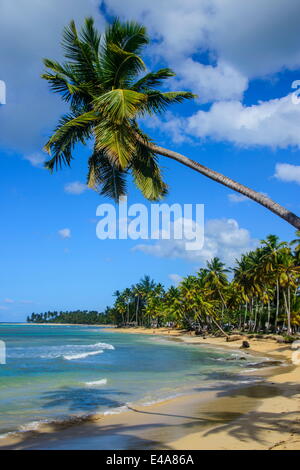 Casa Blanca Beach, Las Terrenas, République dominicaine, Antilles, Caraïbes, Amérique Centrale Banque D'Images