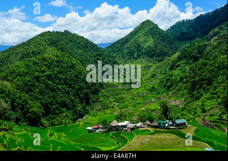 Bangaan dans les rizières en terrasses de Banaue, Site du patrimoine mondial de l'UNESCO, dans le nord de Luzon, Philippines, Asie du Sud, Asie Banque D'Images