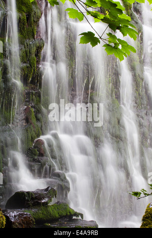 Haw échelle vigueur près de Hebden Wharfedale en Angleterre Yorkshire Dales Banque D'Images