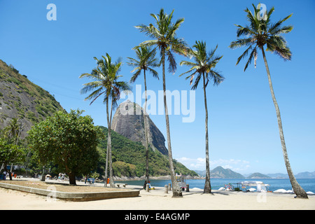 L'affichage classique de Sugarloaf Mountain de Pao de Acucar Rio de Janeiro au Brésil et Praia Vermelha Plage Rouge à Urca avec palmiers Banque D'Images