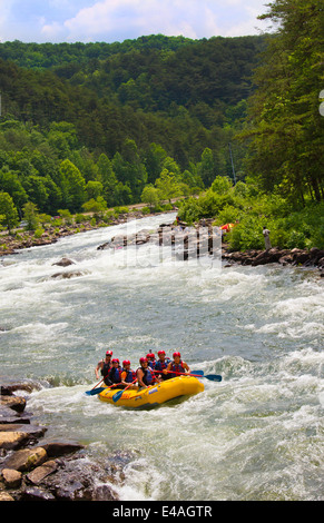 Tours rafting sur la rivière de Ducktown Ocoee, Tennessee USA Banque D'Images