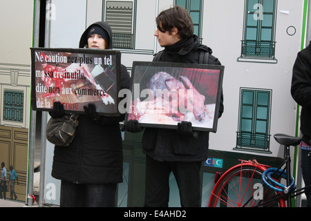 Protestation contre la torture animale, l'expérimentation animale et la fourrure, Lyon, Rhône, Rhône-Alpes, France. Banque D'Images