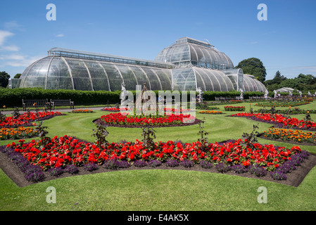 Palm house, Kew Royal Botanic Gardens, London, UK Banque D'Images