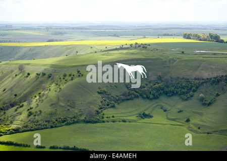 Westbury White Horse Banque D'Images