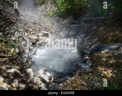 Source d'eau chaude volcanique, Rincon de la Vieja National Park, Province de Guanacaste Costa Rica Banque D'Images