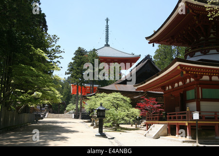 Partie de la Dai Garan Koyasan complexe au Japon Banque D'Images