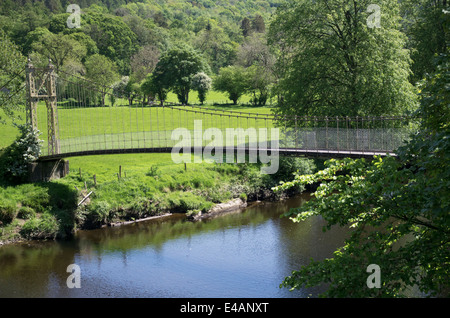 Afon Conwy, Betws y Coed, comté de Conwy Banque D'Images