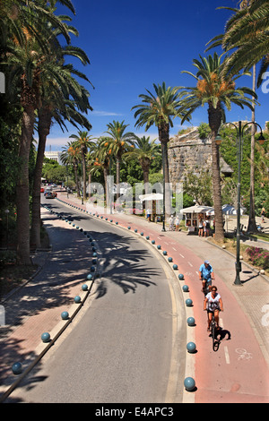 Les Palmiers Avenue, Kos Town, Kos island, îles du Dodécanèse, Mer Égée, Grèce. Banque D'Images