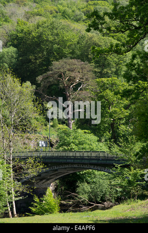 Pont au-dessus d'Afon Conwy, Betws y Coed, comté de Conwy Banque D'Images