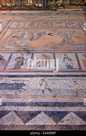 Mosaïque des Muses (détail) au site archéologique de l'Ouest, la ville de Kos, Kos island, îles du Dodécanèse, mer Égée. Banque D'Images