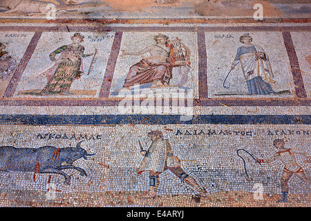 Mosaïque des Muses (détail) au site archéologique de l'Ouest, la ville de Kos, Kos island, îles du Dodécanèse, mer Égée. Banque D'Images