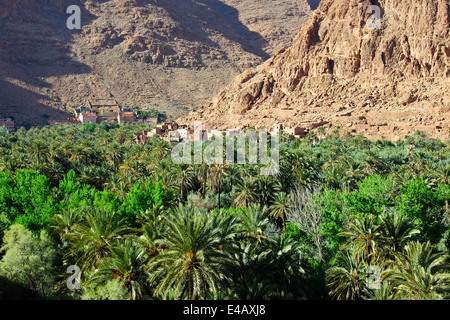 Aci quaritane,tinerhir sur l'oued todra rivière,,route 703 près de Gorges de Todra,Sud Maroc Banque D'Images