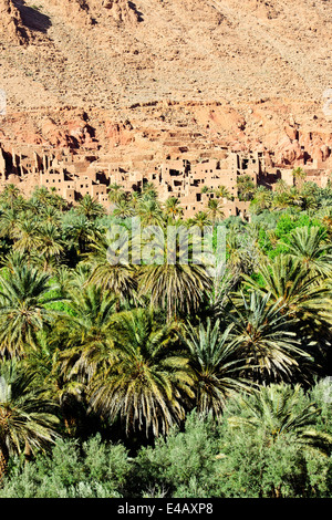 Aci quaritane,tinerhir sur l'oued todra rivière,,route 703 près de Gorges de Todra,Sud Maroc Banque D'Images