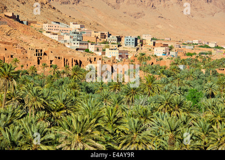 Aci quaritane,tinerhir sur l'oued todra rivière,,route 703 près de Gorges de Todra,Sud Maroc Banque D'Images