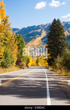 Route de montagne à travers la forêt de couleurs d'automne Banque D'Images