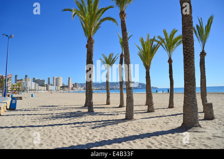 Playa de Poniente, Benidorm, Costa Blanca, Alicante Province, Royaume d'Espagne Banque D'Images