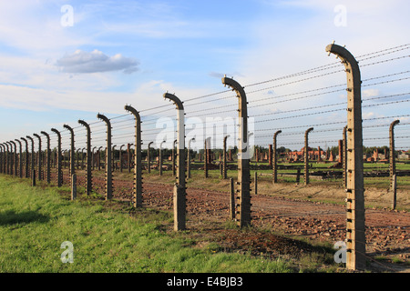 Fil de fer barbelé clôture électrique à Auschwitz Birkenau camp de concentration, Pologne Banque D'Images