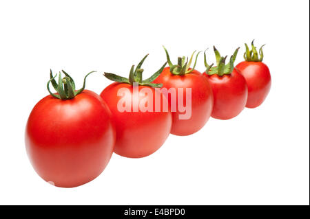 tomates en ligne Banque D'Images