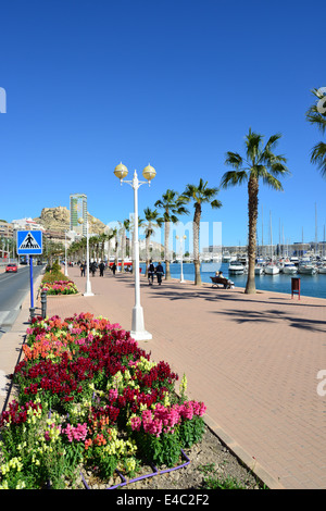 L'esplanade du front de mer, Port d'Alicante, Alicante, Costa Blanca, Alicante Province, Royaume d'Espagne Banque D'Images