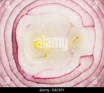 Oignon rouge photo d'arrière-plan, gros plan Banque D'Images