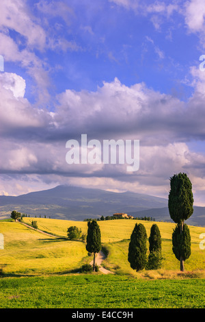 Au coeur de la Toscane, dans la campagne du Val d'Orcia, près de Pienza se trouve l'Agriturismo Podere Terrapille Banque D'Images