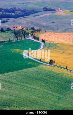 Au coeur de la Toscane, dans la campagne du Val d'Orcia, près de Pienza se trouve l'Agriturismo Podere Terrapille Banque D'Images