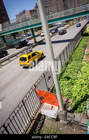 Un jardin de squatters crée une culture de légumes le long de la FDR Drive dans le quartier Lower East Side de New York Banque D'Images