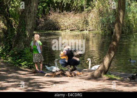 Nourrir les oiseaux d'Angleterre Cambridgeshire Milton Banque D'Images