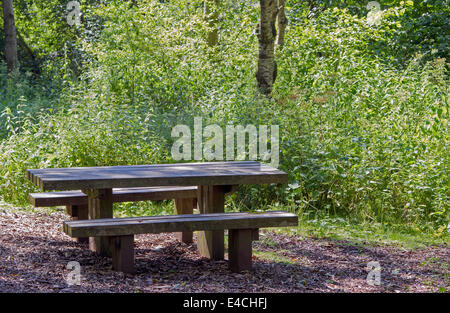 Banc de pique-nique en bois en bois ombragé Banque D'Images