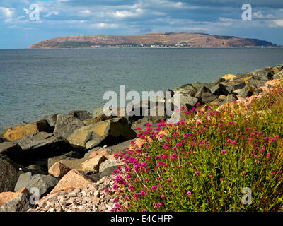 Les défenses de la mer sur la côte nord du Pays de Galles à Penmaenmawr à Conwy avec de grosses roches et cailloux utilisés pour prévenir l'érosion des côtes Banque D'Images